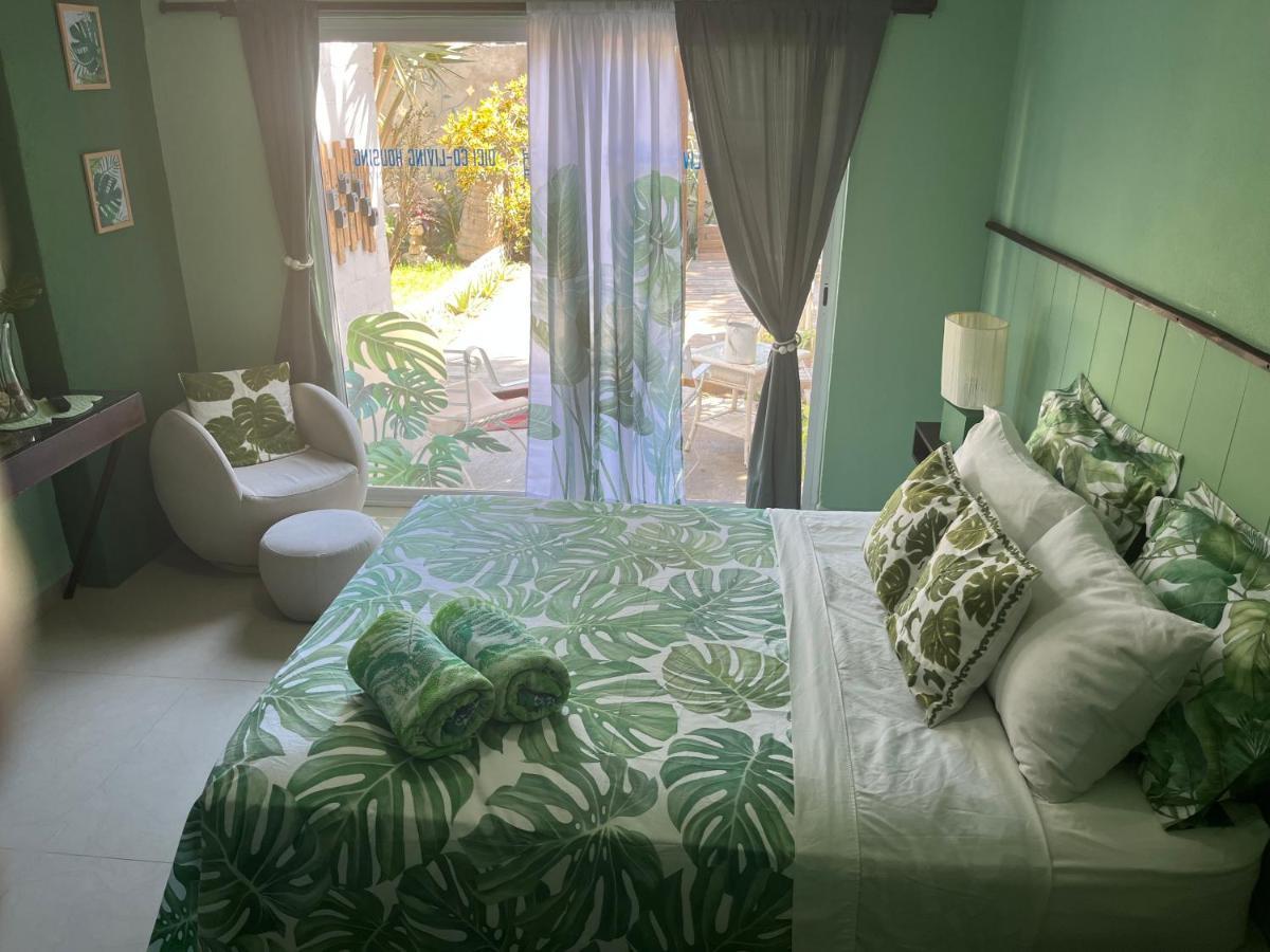 Dici Co-Living Housing Cabo San Lucas Bed & Breakfast Exterior photo